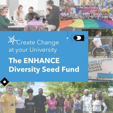 ENHANCE Seed Fund
