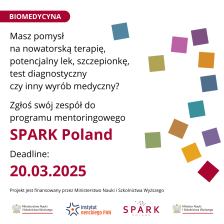 SPARK_grafika1_kwadrat